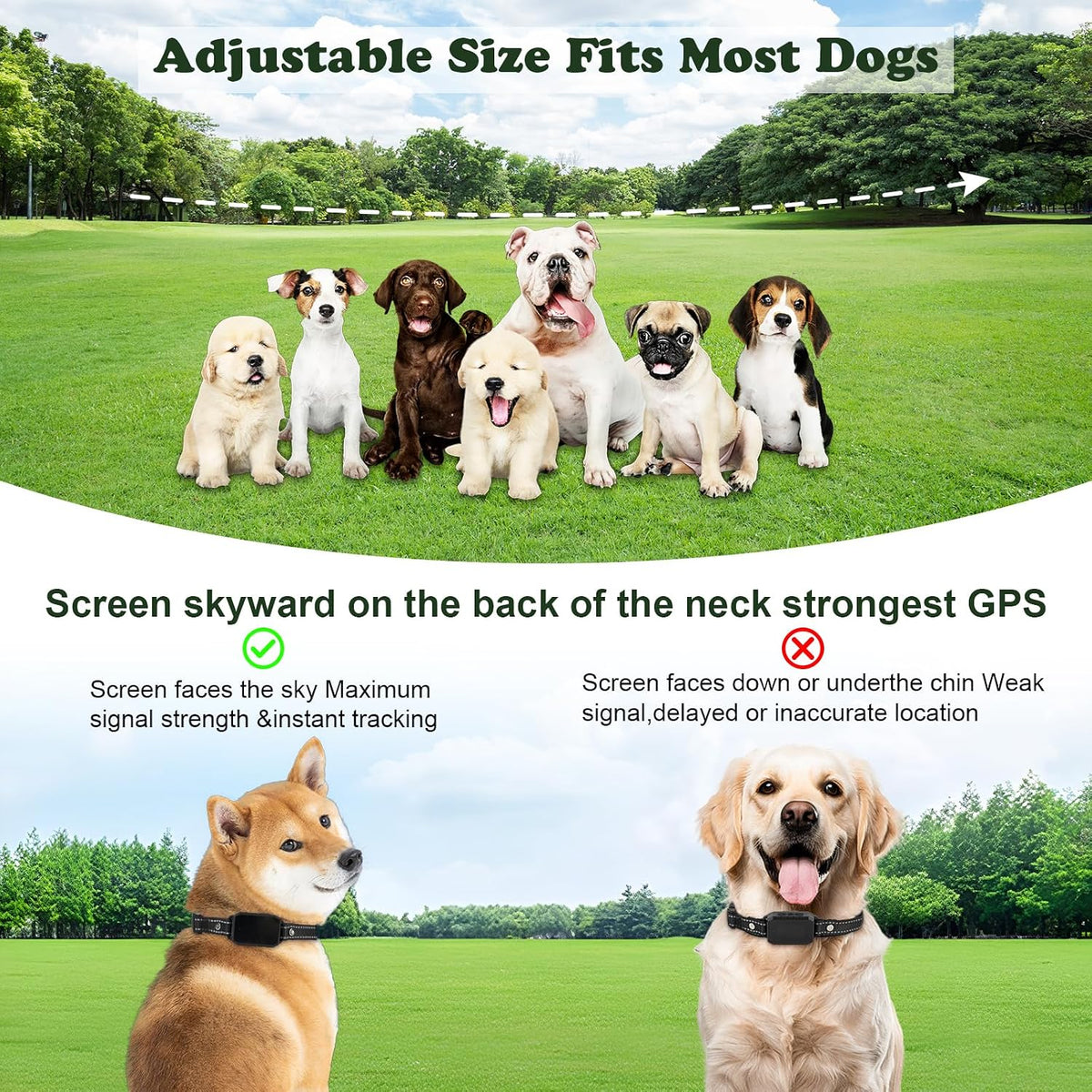 GPS Wireless Dog Fence Collar Training System No Monthly Fee App IP67 7000ft