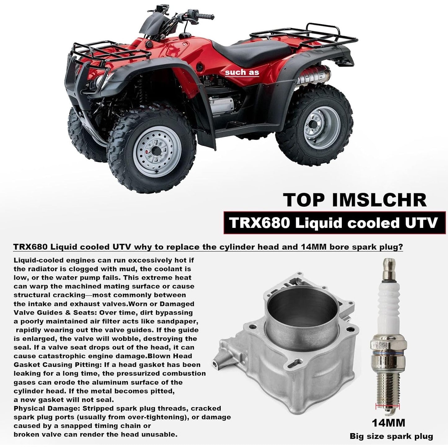 102mm Cylinder Piston Top End Kit Honda TRX680 Rincon Pioneer 700 12100-HN8-A60